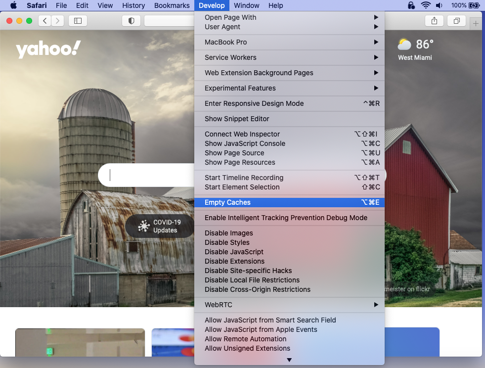 Select Empty Caches in Develop menu Select Empty Caches in Develop menu
